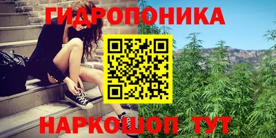 ПСИЛОЦИБИНОВЫЕ ГРИБЫ Краснодар